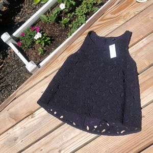 Ann Taylor lace top